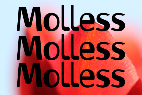 Molless: A Bold Display Font for Handmade Creations