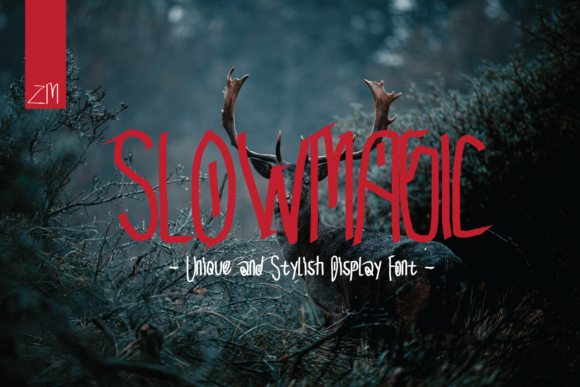 Slow Magic Font for Professional Branding