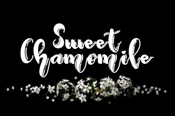 Sweet Chamomile Display Font Review