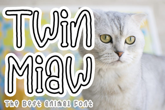 Twin Miaw: A Font That Transforms Brand Identity